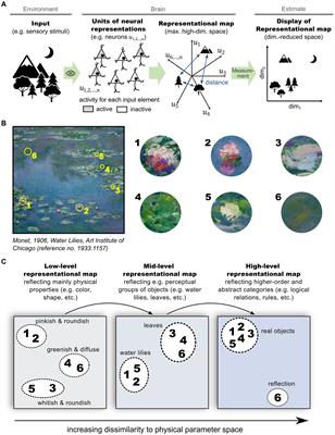 Representational maps in the brain: concepts, approaches, and applications